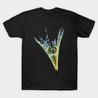 Dew drop - vibrant colors like a gem T-Shirt